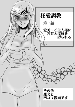 [Mirin] Kyou-ai chokyou 1 page 3