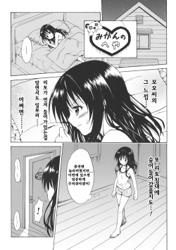 (C83) [TORA MACHINE (Kasukabe Taro)] Kindan no Mikan ~Soushuuhen+~ (To LOVE-Ru) [Korean] page 10