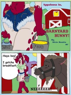 barnyard bunny