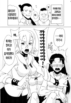 (C82) [BooBooKid (PIP)] Himeko-san ni Iroiro Tanondemita。(Sket Dance) (korean) page 2