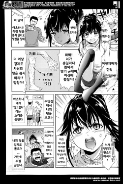 (번역) [팀 여성부] 털로 성장하는 친구 [korean] 毛で長くお友だち（友達] page 3