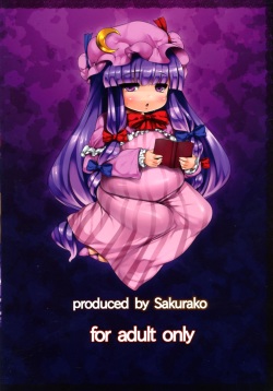 (C81) [Sakurako (ZION)] Patchouli wo Munimuni Suru Hon (Touhou Project) [English] {desudesu} page 2