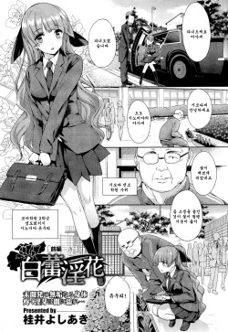 [Katsurai Yoshiaki] Hakurai Inka [Korean] page 2