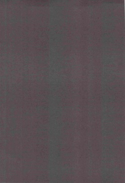 [Tokiko] SPIEL!!! page 2