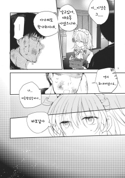 (C83) [Mikkamisaki (Nadzuka)] Remilia Scarlet no Ero Doujin ga Gensoukyou Iri | 레밀리아 스칼렛의 에로동인지가 환상들이 (Touhou Project) [Korean] [Team Sorry] page 4
