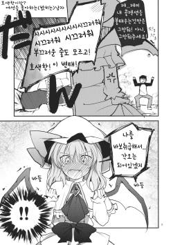 (C83) [Mikkamisaki (Nadzuka)] Remilia Scarlet no Ero Doujin ga Gensoukyou Iri | 레밀리아 스칼렛의 에로동인지가 환상들이 (Touhou Project) [Korean] [Team Sorry] page 8