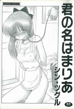 [Shin Tsuguru] Kimi no Na wa Maria page 2