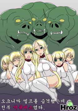 Orc Dakara Elf Osottara Zenin Succubus Datta wa. | 오크니까 엘프를 습격했는데 전부 서큐버스였다