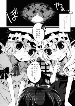 (Reitaisai 10) [Usubeniya (Usubeni Sakurako)] Kimi wa Esa Jo (Touhou Project) page 3