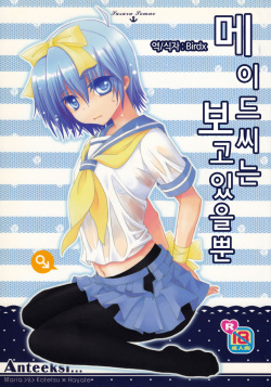 Maid-San wa miteru dake! | 메이드씨는 보고 있을뿐