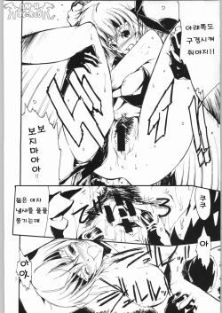 (C64) [nylon 100% (Nylon)] Private Beach! (Dead or Alive) (korean) page 5