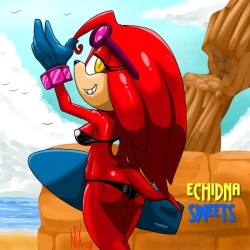 Echidna Sweets