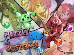 Puzzle & Customs