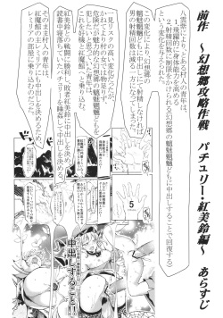 (Reitaisai 10) [Senkou Campanella (Haruhina Murasaki)] Gensoukyou Kouryaku Sakusen - Sakuya, Remilia, Flandre Hen (Touhou Project) page 3