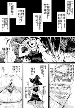 (C84) [Totsugasa (Sagattoru)] ULTIMATE WAVE (Touhou Project) page 2