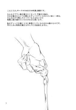 [FAKESTAR (Miharu)] LS (Record of Lodoss War) page 3