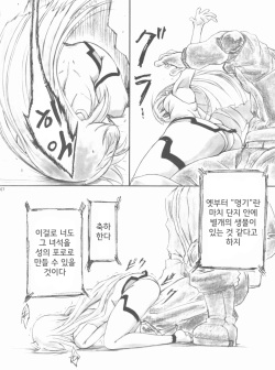 [AXZ (Shinobu Akira)] Angel's stroke 57 Infinite Laura! (IS <Infinite Stratos>) [Korean] [안계연] page 8