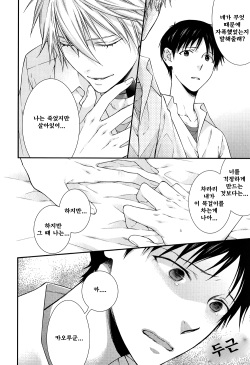 [Moegi Yuu] It's A Wonderful World (Neon Genesis Evangelion) [Korean] [Team RocketSex] [Incomplete] page 3