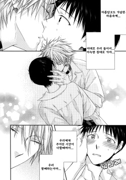[Moegi Yuu] It's A Wonderful World (Neon Genesis Evangelion) [Korean] [Team RocketSex] [Incomplete] page 5