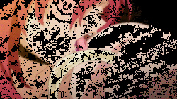 Kyuketsuki Gifs page 4