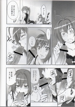 (C82) [Furrock (Zeku)] Eroino wa Nigate Nandayo (Mahou Shoujo Lyrical Nanoha) page 7