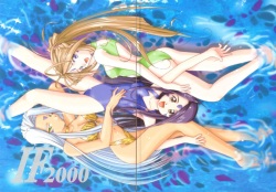 (C58) [Tenchuugumi (Tenchuunan)] IF 2000 (Ah! My Goddess) page 2