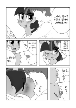 (Kansai! Kemoket 2) [Seiikkyou (Goto-Beido)] if MOSHIMO PONY (My Little Pony Friendship is Magic) [Korean] page 3