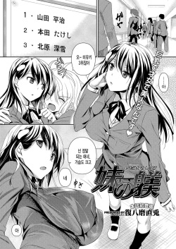 [Fukuyama Naoto] Imouto no Shitsuke (COMIC Megastore H 2012-11) [Korean] [미쿠다요] page 2