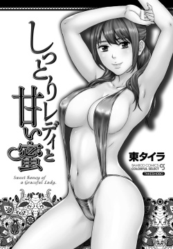 [Azuma Taira] Shittori Lady to Amai Mitsu [Digital] page 2