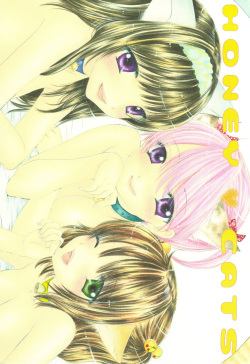 (C75) [BEAT-POP (Ozaki Mirai)] HONEY CATS [Korean] page 1