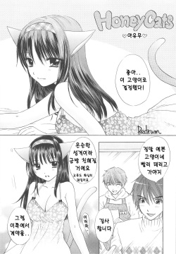 (C75) [BEAT-POP (Ozaki Mirai)] HONEY CATS [Korean] page 4