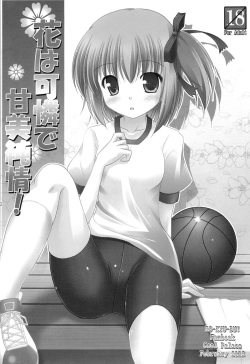 (C84) [Cool Palace (Suzumiya Kazuki)] Tomoka no Kanzume (Ro-Kyu-Bu!) page 3