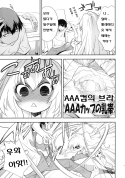 (C75) [Hapoi-dokoro (Okazaki Takeshi)] One Day -Aruhi- (Toradora!) [Korean] page 6
