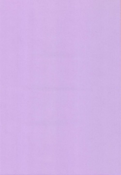 [Applesauce (Sada Ko-ji)] AfterQ (Neon Genesis Evangelion) [Digital] page 2