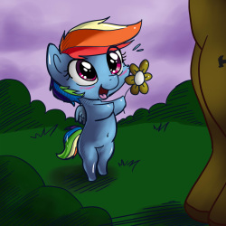 Dashie's Cubby Day