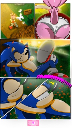 [Doom (Nobody147)] A Sweat Rose (Sonic the Hedgehog) page 6