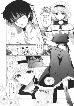 (C85) [Uminari (Narumi)] Inran Alice (Touhou Project) page 3