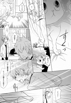 (C80) [Alpenreise (Ayano Ena)] Kiseki (Katekyo Hitman REBORN!) page 6