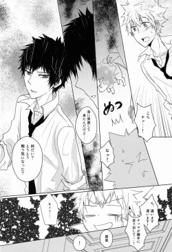 (C80) [Alpenreise (Ayano Ena)] Kiseki (Katekyo Hitman REBORN!) page 9