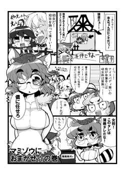 (C81) [Tokyusen] Touhou Shinreibyou Goudoushi Hontou wa H na Shinreibyou (Touhou Project) [Digital] page 3