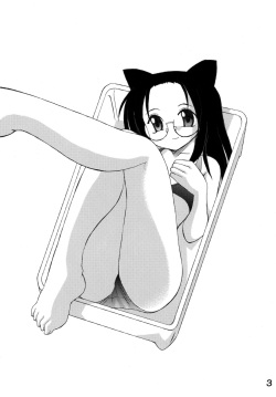 (C73) [Shin Shikkoku Zakkyo Koubou (Miyamoto Rumi)] Shitteru Kuse ni! Vol.39 "Mega Neko" (Lucky Star) page 2