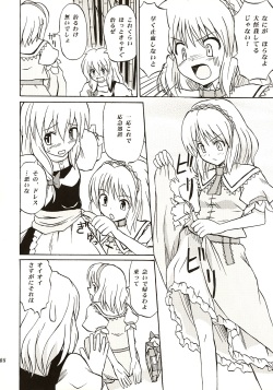 (C67) [Takaku-ya (Takaku Toshihiko)] Touhou Youjo Ranbu (Touhou Project) page 7