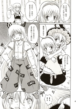 (C67) [Takaku-ya (Takaku Toshihiko)] Touhou Youjo Ranbu (Touhou Project) page 8