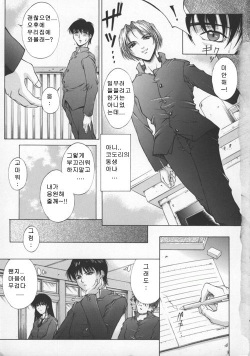 [Hidefumi Akino] Biane | Flattery Older Sister (korean) page 6