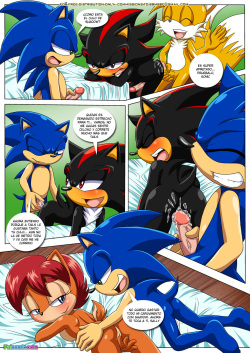 [Palcomix] Swingers 2 | Intercambio De Parejas 2 (Sonic the Hedgehog) [Spanish] [LKNOFansub] page 5