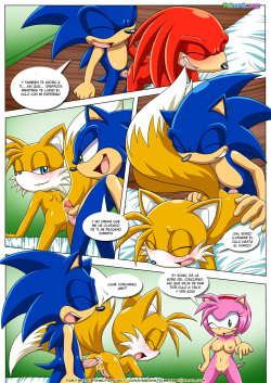 [Palcomix] Swingers 2 | Intercambio De Parejas 2 (Sonic the Hedgehog) [Spanish] [LKNOFansub] page 8