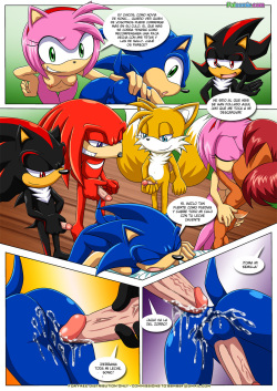 [Palcomix] Swingers 2 | Intercambio De Parejas 2 (Sonic the Hedgehog) [Spanish] [LKNOFansub] page 9