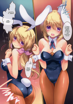 (C84) [slice slime (108 Gou)] Hatsujou Usagi no Shitsuke Kata (IS <Infinite Stratos>) [Russian] page 2