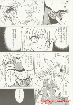 (C69) [Takakuya (Takaku Toshihiko)] Touhou Youjo Ranbu 5 (Touhou Project) [Korean] page 6