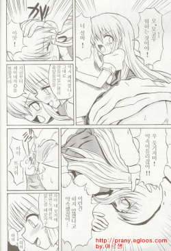 (C69) [Takakuya (Takaku Toshihiko)] Touhou Youjo Ranbu 5 (Touhou Project) [Korean] page 9
